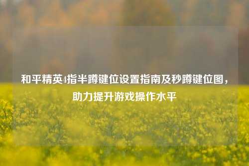 和平精英4指半蹲键位设置指南及秒蹲键位图，助力提升游戏操作水平