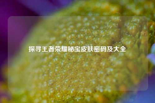 探寻王者荣耀秘宝皮肤密码及大全