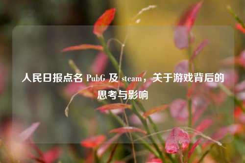 人民日报点名 PubG 及 steam，关于游戏背后的思考与影响