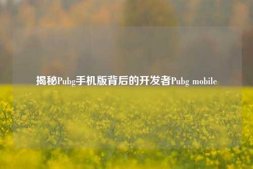 揭秘Pubg手机版背后的开发者Pubg mobile