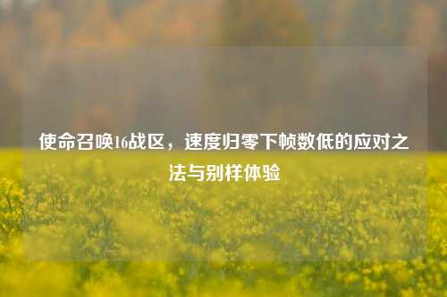 使命召唤16战区，速度归零下帧数低的应对之法与别样体验