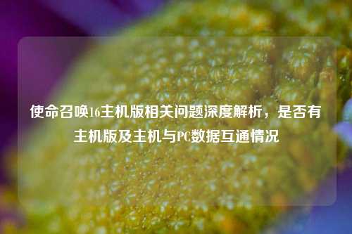 使命召唤16主机版相关问题深度解析，是否有主机版及主机与PC数据互通情况