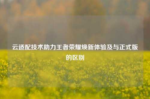 云适配技术助力王者荣耀焕新体验及与正式版的区别