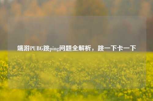 端游PUBG跳ping问题全解析,跳一下卡一下