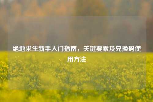 绝地求生新手入门指南，关键要素及兑换码使用 *** 