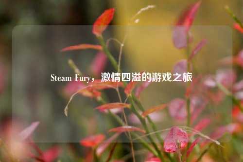 Steam Fury， *** 四溢的游戏之旅