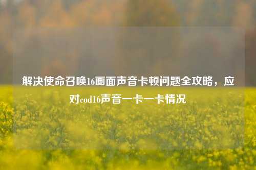 解决使命召唤16画面声音卡顿问题全攻略，应对cod16声音一卡一卡情况