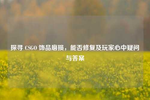 探寻 CSGO 饰品磨损，能否修复及玩家心中疑问与答案