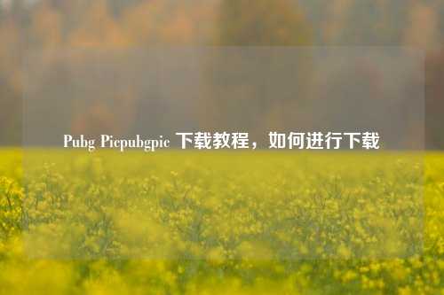 Pubg Picpubgpic 下载教程，如何进行下载