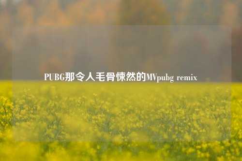PUBG那令人毛骨悚然的MVpubg remix
