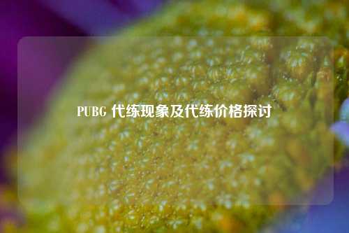 PUBG 代练现象及代练价格探讨