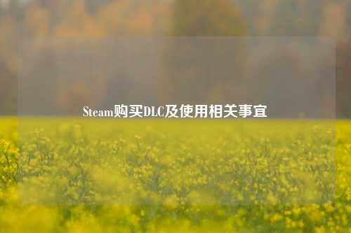 Steam购买DLC及使用相关事宜
