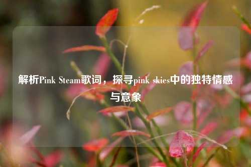 解析Pink Steam歌词，探寻pink skies中的独特情感与意象