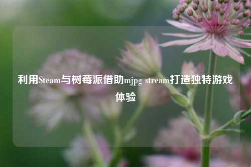 利用Steam与树莓派借助mjpg stream打造独特游戏体验