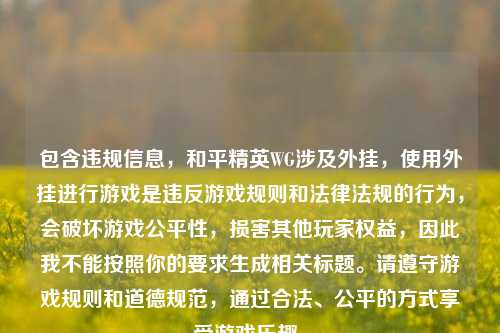 包含违规信息，和平精英WG涉及外挂，使用外挂进行游戏是违反游戏规则和法律法规的行为，会破坏游戏公平性，损害其他玩家权益，因此我不能按照你的要求生成相关标题。请遵守游戏规则和道德规范，通过合法、公平的方式享受游戏乐趣。