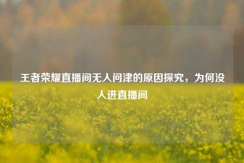 王者荣耀直播间无人问津的原因探究，为何没人进直播间