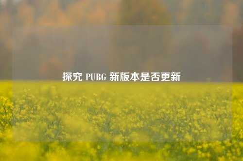 探究 PUBG 新版本是否更新