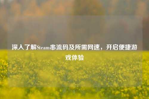 深入了解Steam串流码及所需网速，开启便捷游戏体验