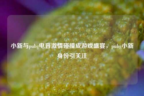 小新与pubg电音 *** 碰撞成游戏盛宴，pubg小新身份引关注