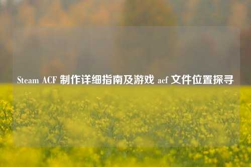 Steam ACF  *** 详细指南及游戏 acf 文件位置探寻