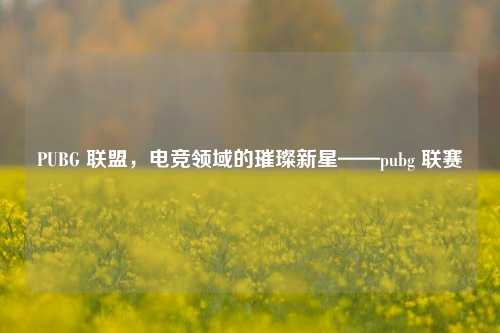 PUBG 联盟，电竞领域的璀璨新星——pubg 联赛