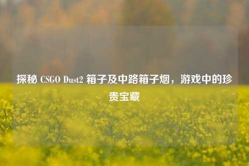 探秘 CSGO Dust2 箱子及中路箱子烟，游戏中的珍贵宝藏