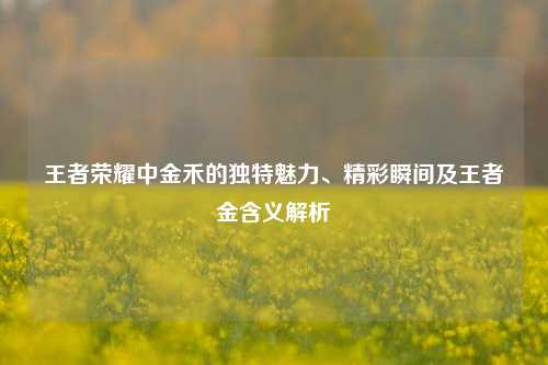 王者荣耀中金禾的独特魅力、精彩瞬间及王者金含义解析