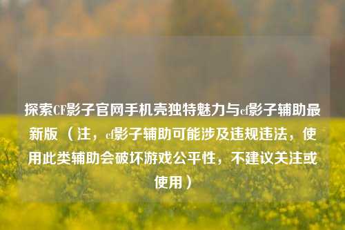 探索CF影子官网手机壳独特魅力与cf影子辅助最新版 （注，cf影子辅助可能涉及违规违法，使用此类辅助会破坏游戏公平性，不建议关注或使用）