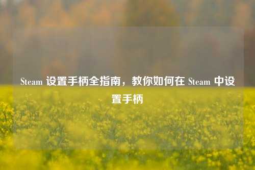 Steam 设置手柄全指南，教你如何在 Steam 中设置手柄
