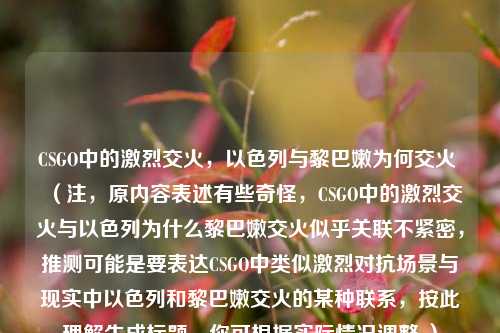 CSGO中的激烈交火，以色列与黎巴嫩为何交火 （注，原内容表述有些奇怪，CSGO中的激烈交火与以色列为什么黎巴嫩交火似乎关联不紧密，推测可能是要表达CSGO中类似激烈对抗场景与现实中以色列和黎巴嫩交火的某种联系，按此理解生成标题，你可根据实际情况调整 ）