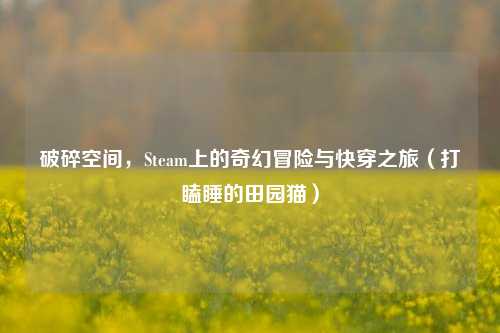 破碎空间，Steam上的奇幻冒险与快穿之旅（打瞌睡的田园猫）