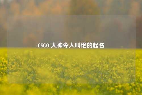 CSGO 大神令人叫绝的起名