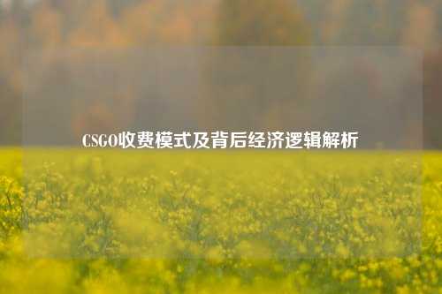 CSGO收费模式及背后经济逻辑解析