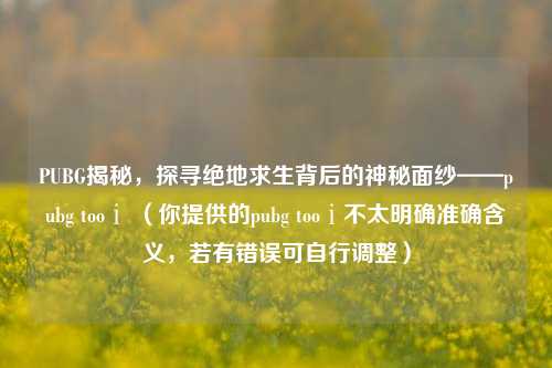 PUBG揭秘，探寻绝地求生背后的神秘面纱——pubg tooⅰ （你提供的pubg tooⅰ不太明确准确含义，若有错误可自行调整）
