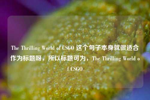 The Thrilling World of CSGO 这个句子本身就很适合作为标题呀,所以标题可为,The Thrilling World of CSGO