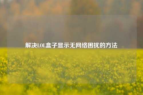 解决LOL盒子显示无 *** 困扰的 *** 