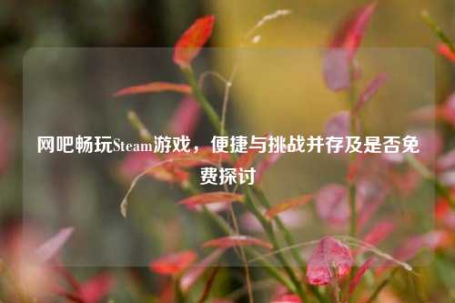 网吧畅玩Steam游戏，便捷与挑战并存及是否免费探讨