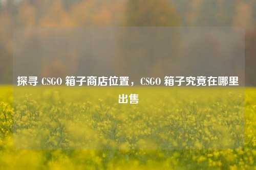 探寻 CSGO 箱子商店位置，CSGO 箱子究竟在哪里出售