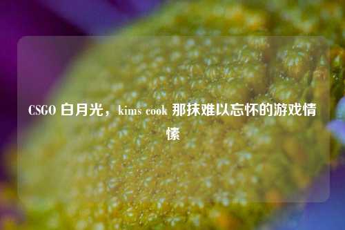 CSGO 白月光，kims cook 那抹难以忘怀的游戏情愫