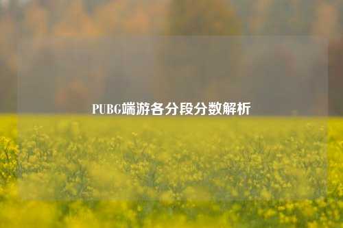 PUBG端游各分段分数解析