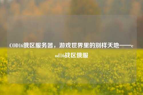 COD16俄区服务器，游戏世界里的别样天地——cod16战区俄服
