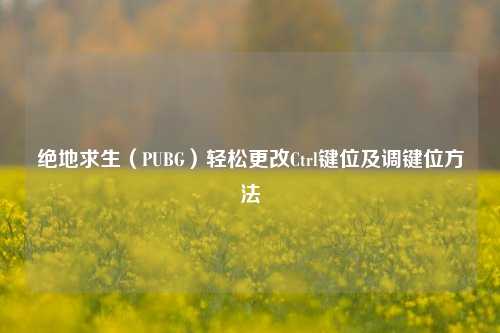绝地求生（PUBG）轻松更改Ctrl键位及调键位 *** 