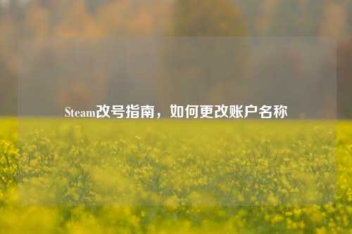 Steam改号指南，如何更改账户名称