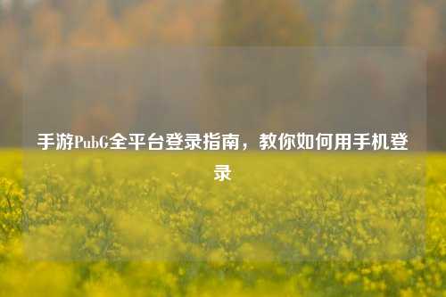 手游PubG全平台登录指南，教你如何用手机登录