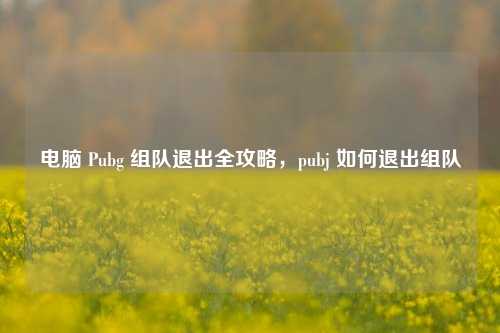 电脑 Pubg 组队退出全攻略,pubj 如何退出组队