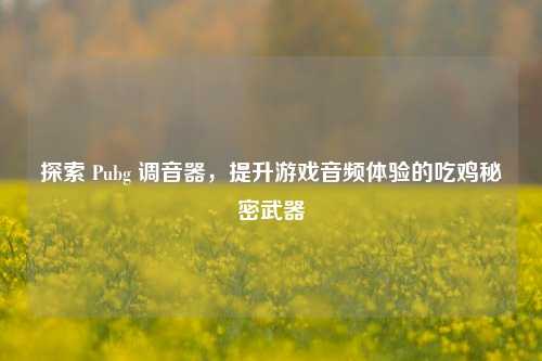 探索 Pubg 调音器,提升游戏音频体验的吃鸡秘密武器