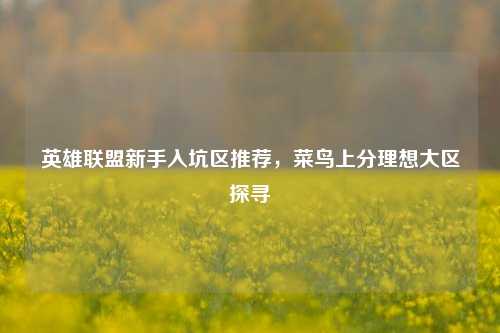 英雄联盟新手入坑区推荐，菜鸟上分理想大区探寻
