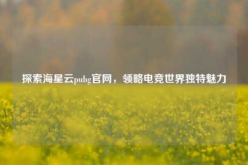 探索海星云pubg官网，领略电竞世界独特魅力