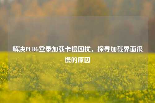 解决PUBG登录加载卡慢困扰，探寻加载界面很慢的原因