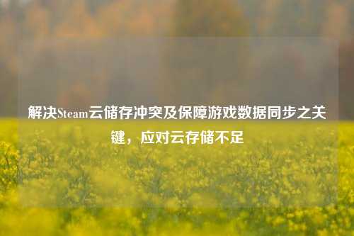 解决Steam云储存冲突及保障游戏数据同步之关键，应对云存储不足